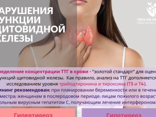 Щитовидная железа – регулятор здоровья и гармонии организма